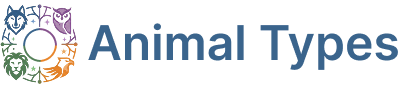 Animaltypes